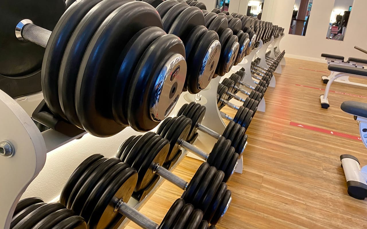 LIFE Fitness Oldenburg Freihantelbereich Muskelaufbau